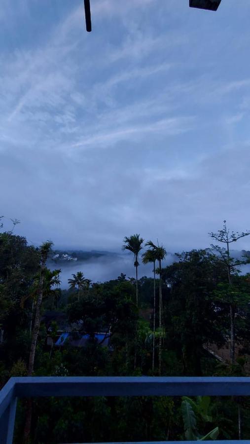 Greenpepperhomestay Munnar Anaviratty Exterior photo
